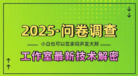 2025问卷调查最新工作室技术解密：一个人在家也可以闷声发大财，小白一天2张，可矩阵放大-启知网创 - 打造知识共享型生态‌