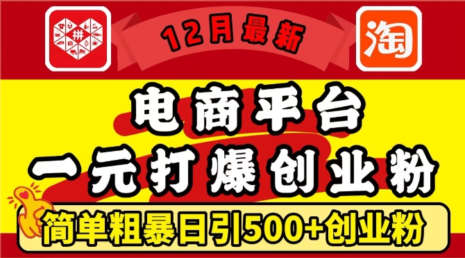 12月最新：电商平台1元打爆创业粉，简单粗暴日引500+精准创业粉，轻松月入过W-启知网创 - 打造知识共享型生态‌