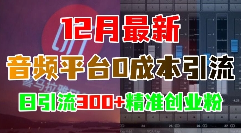 12月最新：音频平台0成本引流，日引流300+精准创业粉-启知网创 - 打造知识共享型生态‌