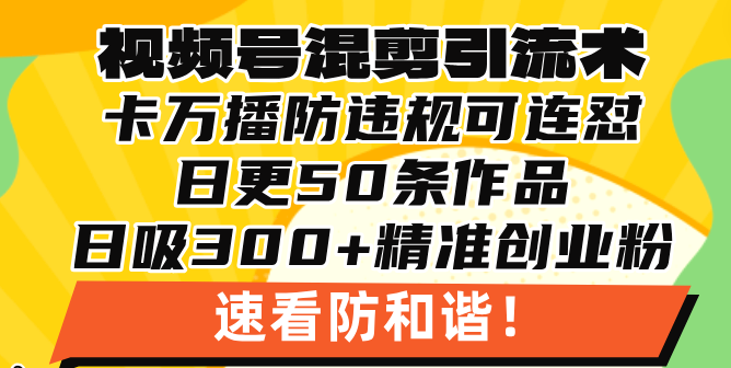 视频号混剪引流技术，500万播放引流17000创业粉，操作简单当天学会-启知网创 - 打造知识共享型生态‌