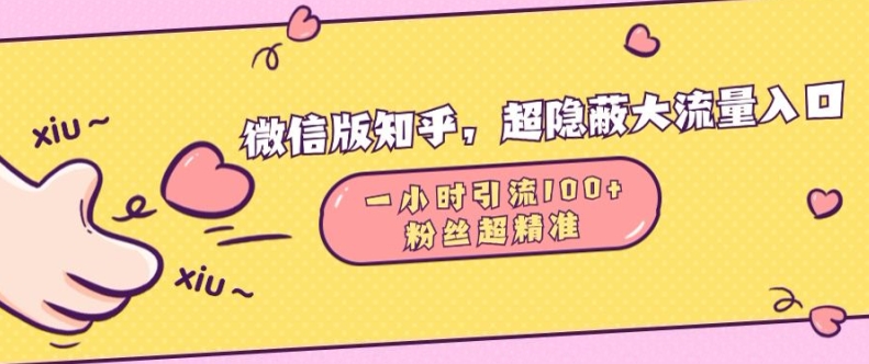 微信版知乎，超隐蔽流量入口1小时引流100人，粉丝质量超高【揭秘】-启知网创 - 打造知识共享型生态‌